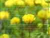 http://c328301.r1.cf1.rackcdn.com/PDXAF20140508076PSMALL.jpg