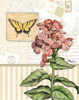 Botanical Collage I Poster Print by Paul Brent