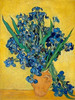 Irises Poster Print by Vincent Van Gogh - Item # VARPDX3VG1434