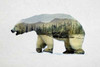 Arctic Polar Bear Poster Print by  Davies Babies - Item # VARPDXD939D
