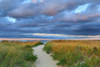 Jetties Beach Path Poster Print by Katherine Gendreau - Item # VARPDXG699D