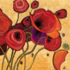 Poppies Wildly II Poster Print by Shirley Novak - Item # VARPDX4744