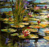 Water Lily Poster Print by Brent Heighton - Item # VARPDX222HEI1059A