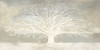 White Tree Poster Print by Alessio Aprile - Item # VARPDX2AI2655