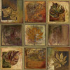 Leaf Square II Poster Print by Patricia Pinto - Item # VARPDX6302