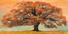 Oak Poster Print by Jan Eelder - Item # VARPDX2JE444