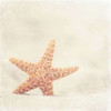 Serendipity Poster Print by Carolyn Cochrane