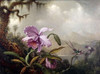 Hummingbirds and Orchids Poster Print by  Martin Johnson Heade - Item # VARPDX277940