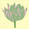 Soho Tulip IV Poster Print by Zachary Alexander - Item # VARPDXCC3156