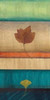 Springing Leaves II Poster Print by Laurie Fields - Item # VARPDXFLP113