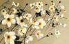 Anemones Japonaises Blancs Poster Print by Shirley Novak - Item # VARPDX23014