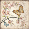 Le Jardin Butterfly II Poster Print by Kate McRostie - Item # VARPDXMCR119
