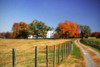 Family Farm II Poster Print by Alan Hausenflock - Item # VARPDXPSHSF984