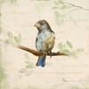 Bird Scene II Poster Print by Lanie Loreth - Item # VARPDX9551D
