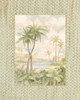 Cabana Bay I Poster Print by Paul Brent