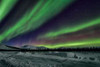 Aurora Borealis V Poster Print by Larry Malvin - Item # VARPDXPSMAL209