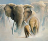 Running elephants II Poster Print by Jan Weenink - Item # VARPDXJW2005025