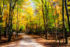 Goose Pond Lane I Poster Print by Alan Hausenflock - Item # VARPDXPSHSF1538