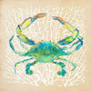 Sealife Crab Poster Print by Julie DeRice - Item # VARPDX9866