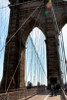 Brooklyn Bridge II Poster Print by Erin Berzel - Item # VARPDXPSBZL500
