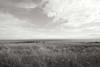 Bluff View Poster Print by Dana Styber - Item # VARPDXPSSTY242