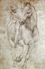 Horse and Rider Poster Print by  Leonardo Da Vinci - Item # VARPDX277243