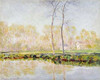 The Banks of the River Epte at Giverny Poster Print by  Claude Monet - Item # VARPDX265248