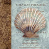 Shell I Poster Print by Elizabeth Medley - Item # VARPDX9244B