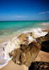 Rising Tide I Poster Print by Susan Bryant - Item # VARPDX8952