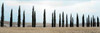 Val d’Orcia Pano - 5 Poster Print by Alan Blaustein - Item # VARPDXABITH106C