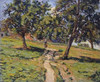 Pathe at Damiette Poster Print by  Armand Guillaumin - Item # VARPDX264970