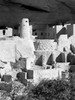 Cliff Palace Pueblo Portrait BW Poster Print by Douglas Taylor - Item # VARPDXPSTLR475