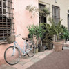 Liguria Bicycle - 2 Poster Print by Alan Blaustein - Item # VARPDXABITC5088
