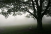 Misty Bench Poster Print by PhotoINC Studio - Item # VARPDXIN30800