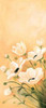 White poppies 1-3 Poster Print by Jasper - Item # VARPDXMLV003