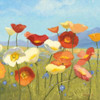 Springtime Meadow II Poster Print by Shirley Novak - Item # VARPDX8199