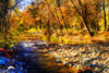 Autumn Waters I Poster Print by Alan Hausenflock - Item # VARPDXPSHSF1546