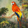 Parrots at Bay I Poster Print by Jane Slivka - Item # VARPDX9261