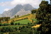 Mountain Landscape Poster Print by Dana Underdahl - Item # VARPDXPSUND230