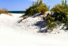 Assateague Beach VIII Poster Print by Alan Hausenflock - Item # VARPDXPSHSF494