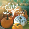 Life is Unique Poster Print by Sue Schlabach - Item # VARPDX21282