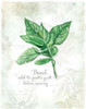 Fresh Basil Poster Print by  Carol Robinson - Item # VARPDX17352