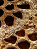 http://c328301.r1.cf1.rackcdn.com/PDXPSBHT109LARGE.jpg http://c328301.r1.cf1.rackcdn.com/PDXPSBHT109LARGE.jpg