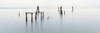 Antique Pier - 134 Poster Print by Alan Blaustein