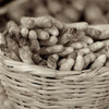 Marketplace - 27 Poster Print by Alan Blaustein