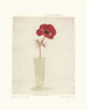 Red Anemones I Poster Print by Amy Melious - Item # VARPDXMEL196