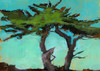 Cypresses Poster Print by Paul Bailey - Item # VARPDXB2767D