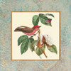 Bel Air Songbirds I Poster Print by Zachary Alexander - Item # VARPDXCC2911