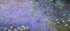 Water Lilies: Morning c. 1914-26 - center-right panel Poster Print by  Claude Monet - Item # VARPDX278738