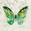 Butterfly Sketch Poster Print by  Carol Robinson - Item # VARPDX17398